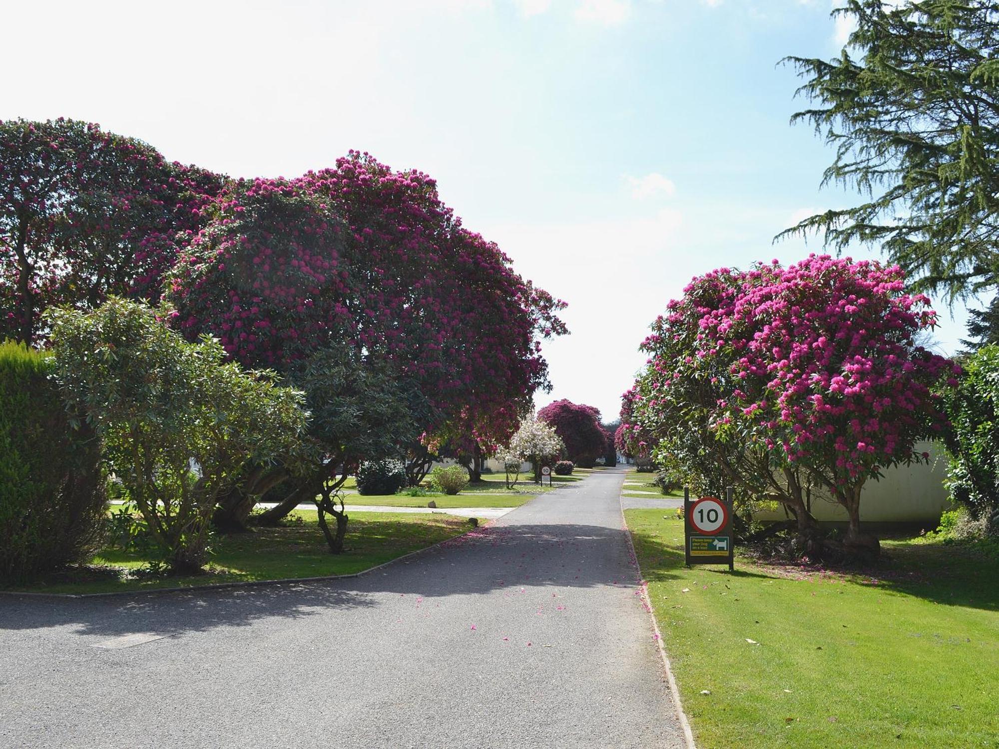 Tresco - B6520 Villa Saint Cleer Buitenkant foto